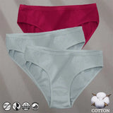 Panties Jacquard Design Pattern Women Panties Underwear Sexy Female Lingerie Briefs Solid Color Intimate Pantys for