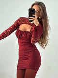 Mesh Lace Turtleneck Sleeve Mini Dress-Outfit