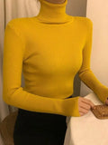 High Neck Jumper Knit Top-Outfit