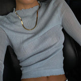 Fongt Wind Early Autumn New Women's Long Sleeve Mesh Perspective T-Shirt Women's Solid Color High Collar Slim Top-Outfit