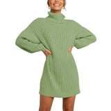 Fongt And Winter New Women's Turtleneck Medium Long Sweater Sweater