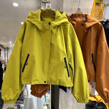 This Year's Popular Storm Jacket Female 2024 Spring And Autumn New Small Casual Style Jacket-Outfit