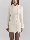 Plaid Buttoned Collar Long Sleeve Mini Dress-Outfit