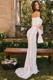 Lace Long Sleeve Off-shoulder Dress-Outfit