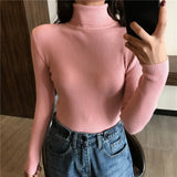 Autumn New Slim Long Sleeve Jumper Women Turtleneck Knitted Pullover Winter Sweater Women Soft Warm Sweater Pull Femme