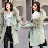 Large Size School To Overcome 200 Jin Coat Female Big Hair Collar Cotton-Padded Clothes Korean Version Add Velvet Waist Warm Cotton Clothes Female Tide-Outfit