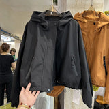 This Year's Popular Storm Jacket Female 2024 Spring And Autumn New Small Casual Style Jacket-Outfit