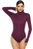 Fall Winter High Neck Sheer
