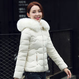 2023 New Autumn And Winter Korean Version Big Hair Collar Short Cotton-Padded Clothes Female Slim Show Thin Korean Version Cotton-Padded Jacket Students-Outfit