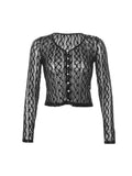 Sheer Lace Long Sleeve Crop Blouse-Outfit