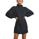 Fongt And Winter New Women's Turtleneck Medium Long Sweater Sweater