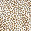 Summer Light Dresses For Women 2022 Sexy Leopard Print Party Beach Chiffon Sundress Open Back Elegant Female