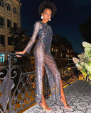 Fashion Open-Perspective Long Sleeve Sexy Flash Dress