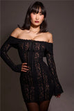 Lace Long Sleeve Off-shoulder Dress-Outfit