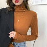 German Velvet High-Necked Bottomed Shirt With Autumn And Winter Velvet Thickened White Polished Wool Long-Sleeved Blouse-Outfit