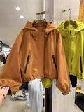 This Year's Popular Storm Jacket Female 2024 Spring And Autumn New Small Casual Style Jacket-Outfit