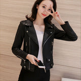 Fongt Spring And Autumn New Korean Version Of Lady PU Leather Female Short Slim Small Coat Motorcycle Suit Leather Jacket-Outfit