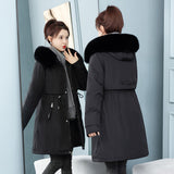 2024 Winter New Thickened Down Cotton Korean Version Plus Cotton Liner To Overcome Cotton Coat Women's Long Cotton Suit-Outfit