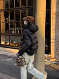 Soft Waxy Puff Short Hooded Turtle Back Down Jacket Female Winter New Small Loose Show Thin Bread Coat-Outfit