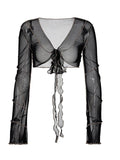 Mesh Long Sleeve Crop Blouse-Outfit