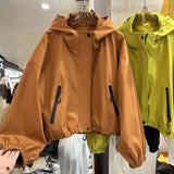 This Year's Popular Storm Jacket Female 2024 Spring And Autumn New Small Casual Style Jacket-Outfit