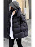 European Goods Hooded Puff Turtle Back Short Hooded Down Jacket Women's New Winter Loose Show Thin Bread Coat-Outfit