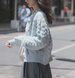 Blue Knitted Rose Buttoned Cardigan-Outfit