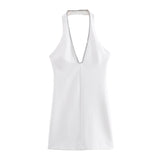 Summer Jewellery Neckline Slim Mini Dress 3082739-Outfit