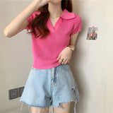 Fongt T-Shirt Women Summer New Short Net Red Hollow Knitted Shirt Full Set Thin Polo Collar Short Sleeve Top
