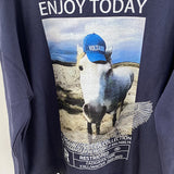 Horse Print Sweatshirts for Women 2023 Spring Autumn Cotton Long Sleeve Pullover Casual Streetwear Pull Hoodies
