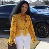 Long Sleeve Hollow Out Mesh Lace Sheer See Through