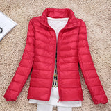 Spring And Autumn Winter Light Down Jacket Female Pure Color Standing Collar Slim Plus Large Size Short Coat Tide Direct Sales-Outfit