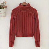 Cropped Sweater Winter Turtleneck Bottoming Pullover Tops Casual Long Sleeve Knitted Warm Jumper Korean Soft Sueters
