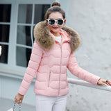 2023 New Autumn And Winter Korean Version Big Hair Collar Short Cotton-Padded Clothes Female Slim Show Thin Korean Version Cotton-Padded Jacket Students-Outfit