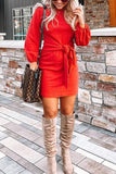 Waist Long Sleeve Mini