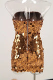 Sequin Bodycon Tube Mini Dress-Outfit