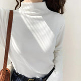 Velvet Half-High-Necked White Bottomed Blouse In Autumn And Winter With A Standing Collar To Show A Thin And Thickened Frosted