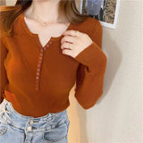 Fongt Sweater Women's Autumn And Winter Under The Bottom Shirt V Collar 2024 New Burst Long-Sleeved Black Tight
