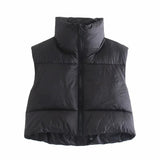 Fongt Color Women's Clothing 2025 Spring And Autumn 2025 New Cotton Vest Zippered Arma A8BS9263