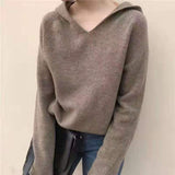 Trend Ins Hooded Sweater Sweater Thin Autumn Sweater Long-Sleeved Sweater Jacket-Outfit