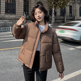 Down Cotton Clothing Autumn Winter Winter European Goods Cotton-Padded Coat Pinghu Thick Cotton-Padded Jacket Women's Clothing 2024 New Bread Clothes-Outfit
