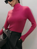 High Collar Bottom Shirt 2024 Autumn And Winter New Temperament Elegant Slim Warm Long Sleeve Inside The Sweater-Outfit