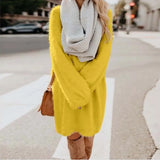 Autumn / Winter Ebaywish Fashionable Women's Dress With Long Sleeves, Round Neck And Loose Plush Dress-Outfit