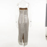 Sequin Mesh Long Dress-Outfit
