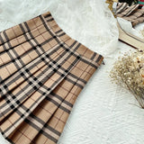 Brown Plaid Pleated Mini Skirt-Outfit
