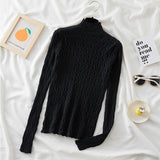 Turtleneck Women Sweaters Autumn Winter 2021 New Warm Pullover Slim Tops Knitted Sweater Jumper Soft Pull Female