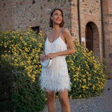 Fashion Tanne Tanneruse Feather Splicing Dress