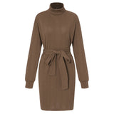 Fongt Autumn / Winter 2024 Embroidered Skirt Women's Knitted Turtleneck With Hip Dress-Outfit