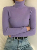 High Neck Jumper Knit Top-Outfit