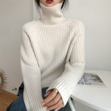 Wind, High Collar, Thin Sweater, Bright Silk Design, Solid Color Slim, Bottomed Sweater, Autumn And Winter Blouse-Outfit